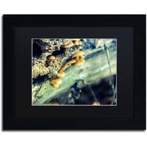 Trademark Fine Art 'Aged Mushroom' Canvas Art by PIPA Fine Art, Black Matte, Black Frame