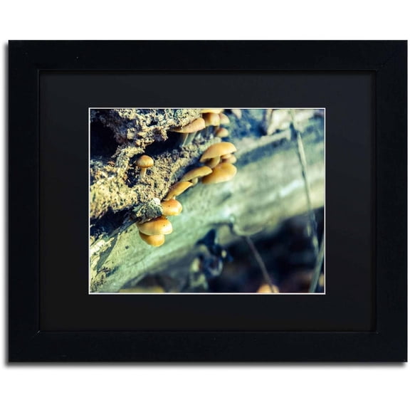 Trademark Fine Art 'Aged Mushroom' Canvas Art by PIPA Fine Art, Black Matte, Black Frame