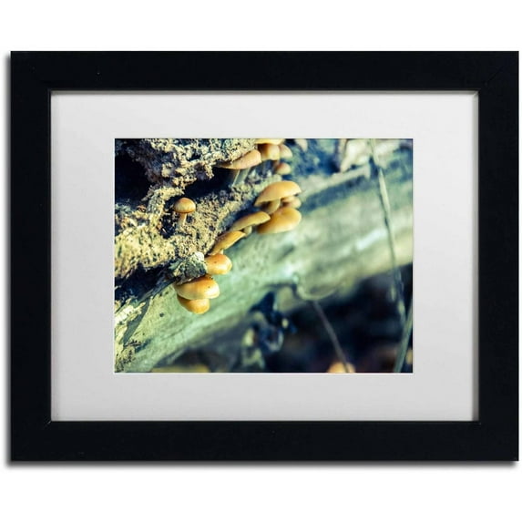 Trademark Fine Art 'Aged Mushroom' Canvas Art by PIPA Fine Art, White Matte, Black Frame