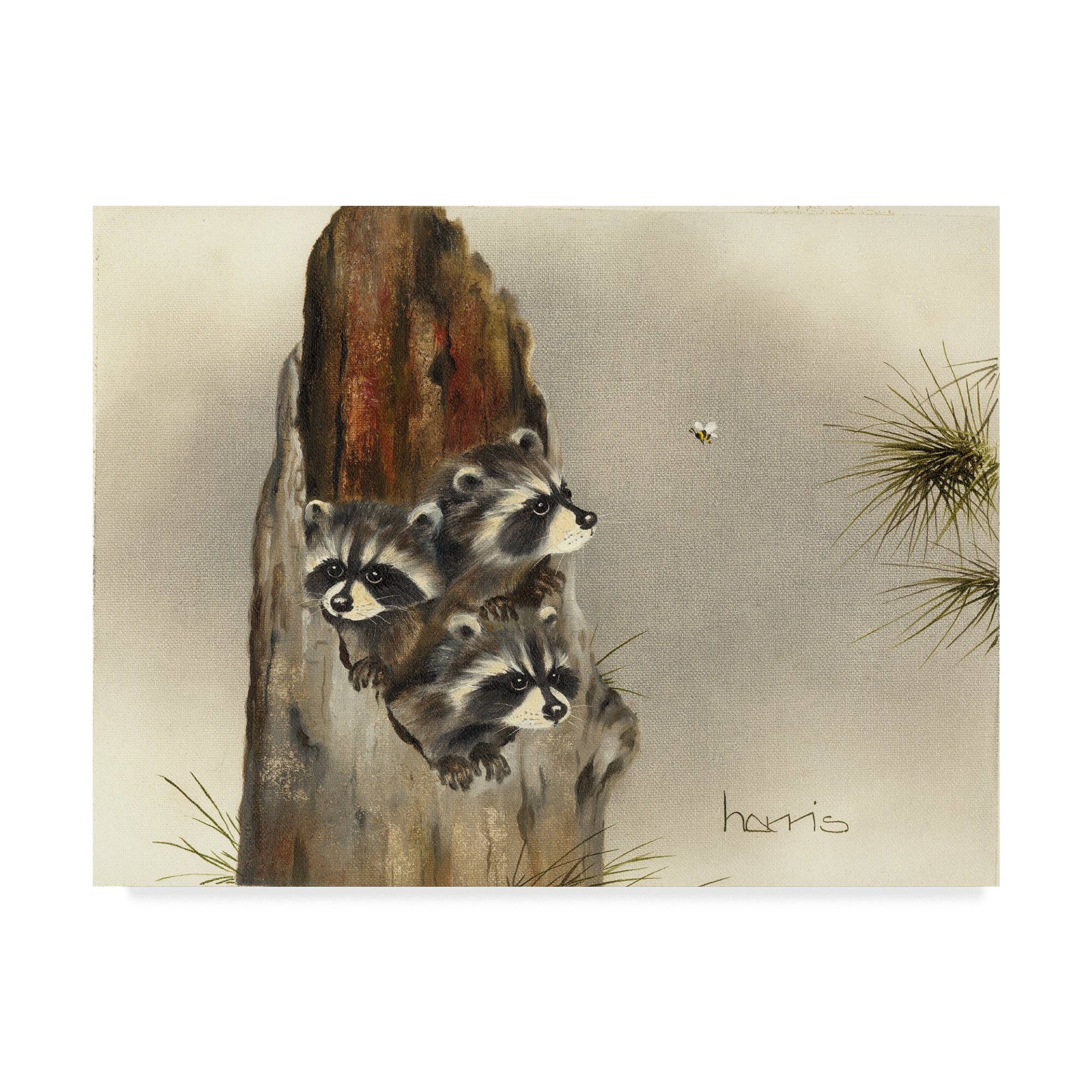 Trademark Fine Art 'Aint Misbehaving Yet' Canvas Art by Peggy Harris