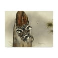 thumbnail image 1 of Trademark Fine Art 'Aint Misbehaving Yet' Canvas Art by Peggy Harris, 1 of 3