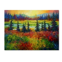 Trademark Fine Art 'Ak' Canvas Art by Marion Rose