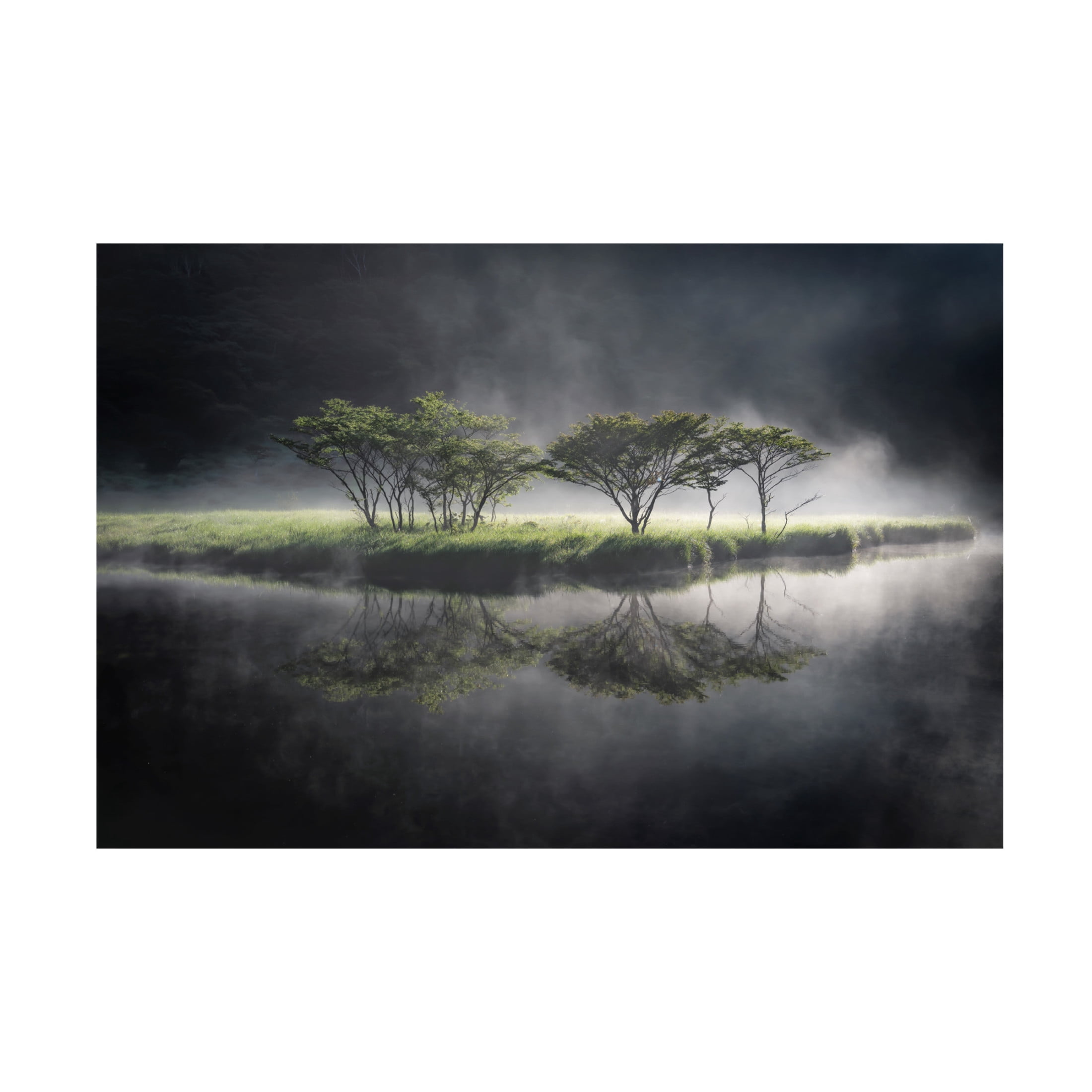 Trademark Fine Art Akira Nagase Illuminate Canvas Wall Art