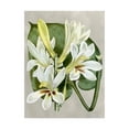 thumbnail image 1 of Trademark Fine Art 'Alabaster Blooms IV' Canvas Art by Curtis, 1 of 3