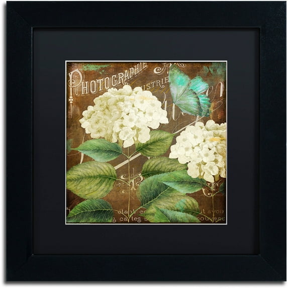 Trademark Fine Art "Alabaster Hydrangea" Canvas Art by Color Bakery Black Matte, Black Frame