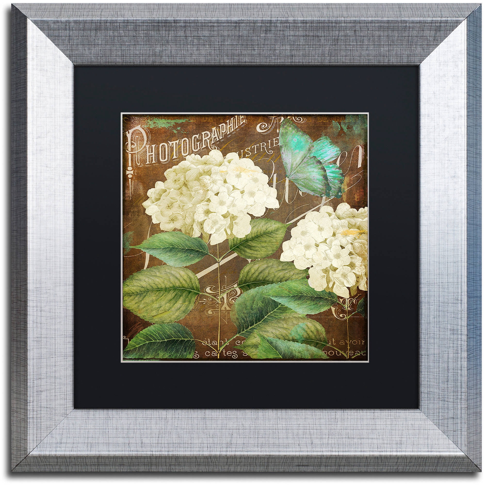 Trademark Fine Art "Alabaster Hydrangea" Canvas Art by Color Bakery Black Matte, Silver Frame