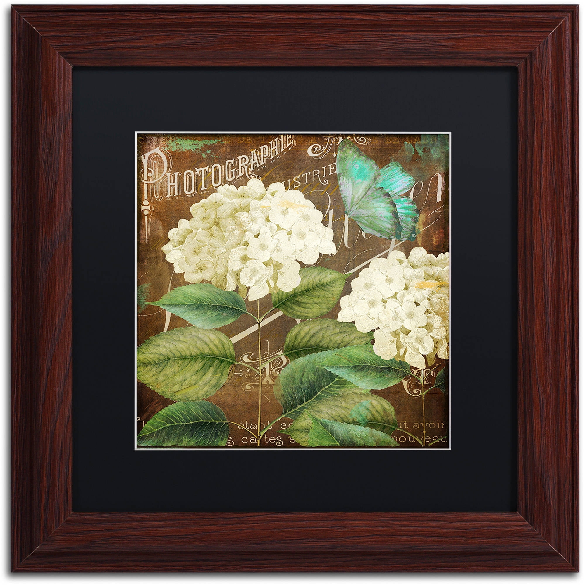 Trademark Fine Art "Alabaster Hydrangea" Canvas Art by Color Bakery Black Matte, Wood Frame