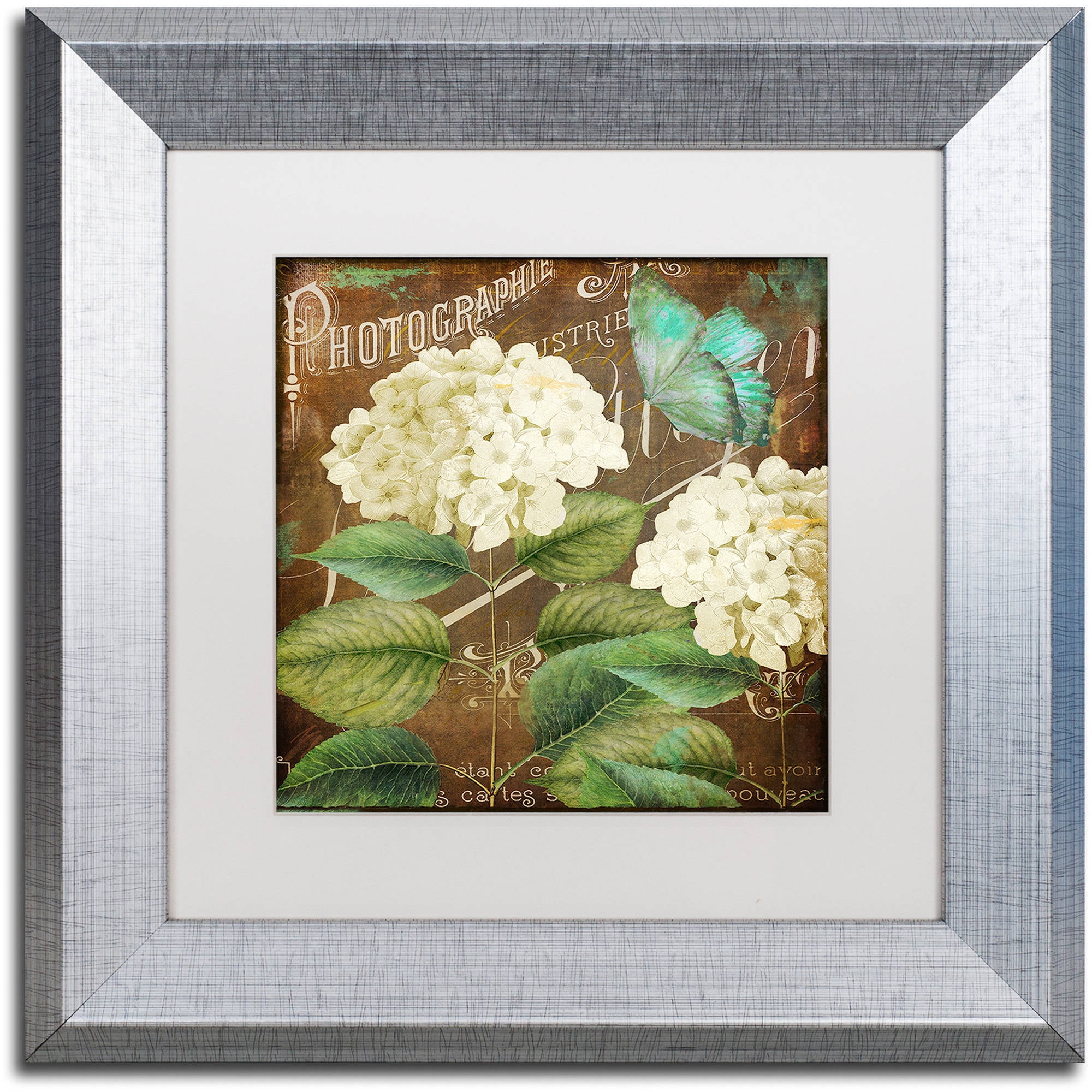 Trademark Fine Art "Alabaster Hydrangea" Canvas Art by Color Bakery White Matte, Silver Frame