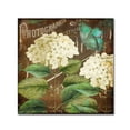 thumbnail image 1 of Trademark Fine Art "Alabaster Hydrangea" Canvas Art by Color Bakery, 1 of 2