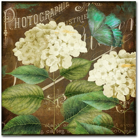 Trademark Fine Art "Alabaster Hydrangea" Canvas Art by Color Bakery