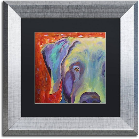 Trademark Fine Art "Aladdin" Canvas Art by Pat Saunders-White, Black Matte, Silver Frame