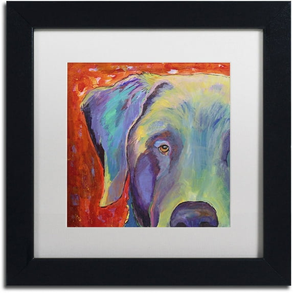 Trademark Fine Art "Aladdin" Canvas Art by Pat Saunders-White, White Matte, Black Frame