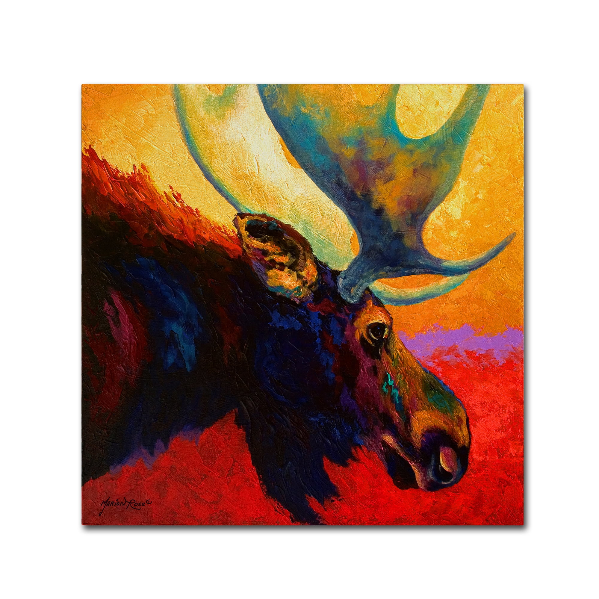 Trademark Fine Art 'Alaska Spirit Moose' Canvas Art by Marion Rose