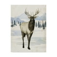 thumbnail image 1 of Trademark Fine Art 'Alaskan Wilderness II' Canvas Art by Grace Popp, 1 of 4