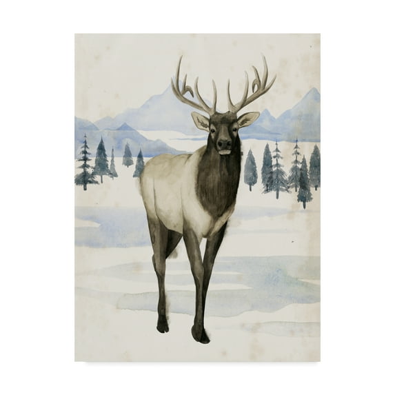 Trademark Fine Art 'Alaskan Wilderness II' Canvas Art by Grace Popp