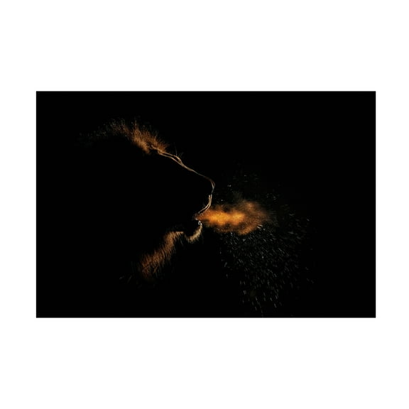 Trademark Fine Art Alessandro Catta  Breath of a King Canvas Wall Art