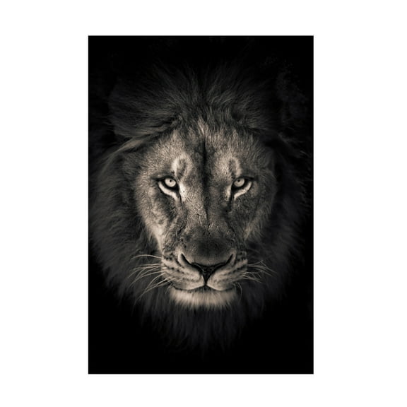 Trademark Fine Art Alex Zhao  The king Canvas Wall Art