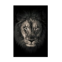 Trademark Fine Art Alex Zhao The king Canvas Wall Art
