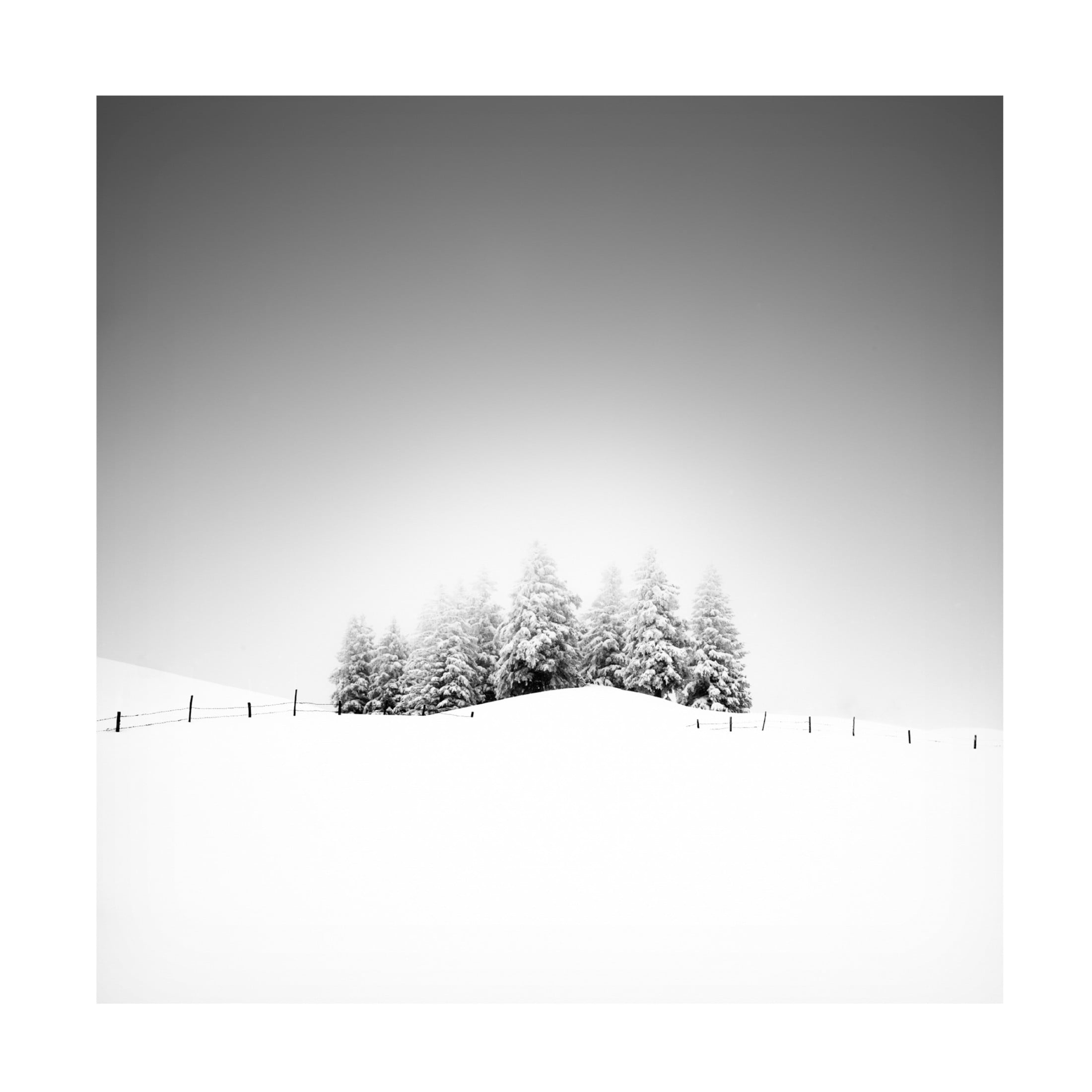 Trademark Fine Art Alexej Schulz Cohesion Canvas Wall Art