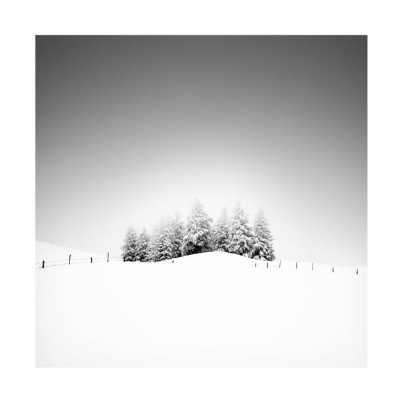 Trademark Fine Art Alexej Schulz Cohesion Canvas Wall Art