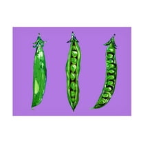 Trademark Fine Art Alice Straker Peas In a Pod Canvas Wall Art
