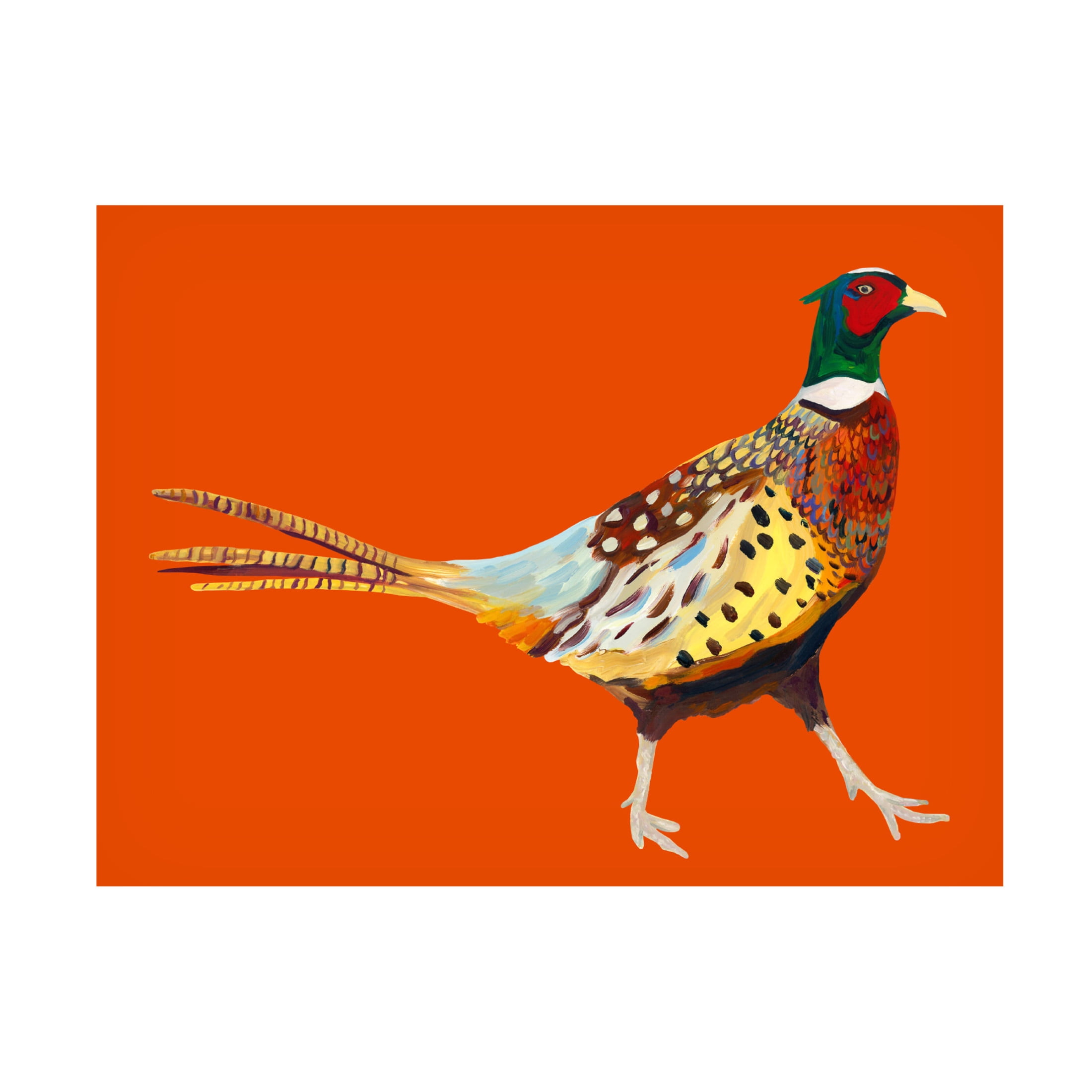 Trademark Fine Art Alice Straker Strutting Pheasant On Orange Canvas Wall Art