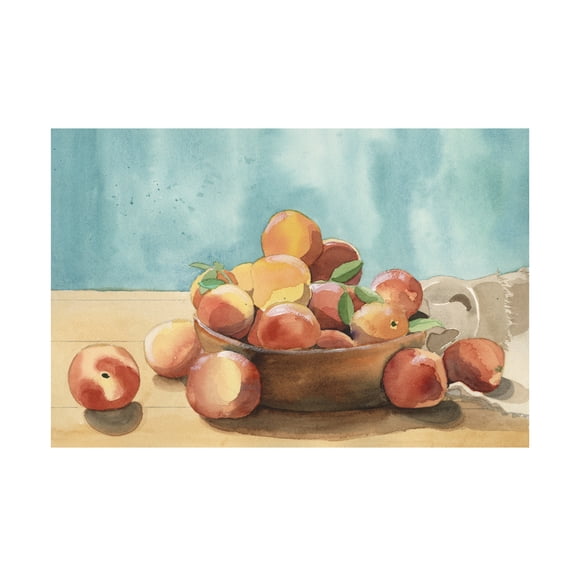 Trademark Fine Art Alicia Longley Summer Harvest Bowl I Canvas Wall Art