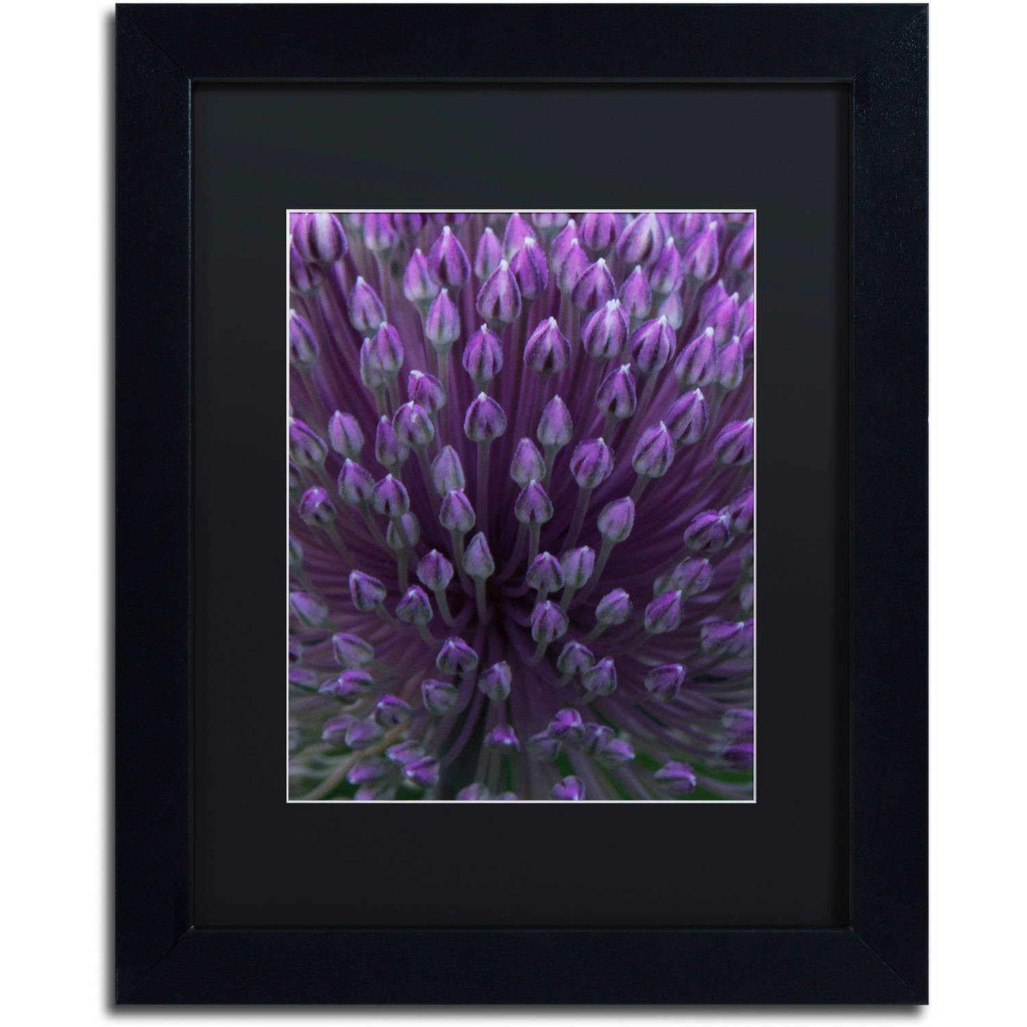 Trademark Fine Art "Alien Flower Pods" Canvas Art by Kurt Shaffer, Black Matte, Black Frame
