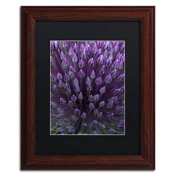 Trademark Fine Art "Alien Flower Pods" Canvas Art by Kurt Shaffer, Black Matte, Wood Frame
