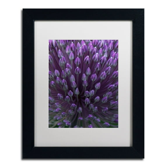 Trademark Fine Art "Alien Flower Pods" Canvas Art by Kurt Shaffer, White Matte, Black Frame
