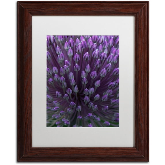 Trademark Fine Art "Alien Flower Pods" Canvas Art by Kurt Shaffer, White Matte, Wood Frame