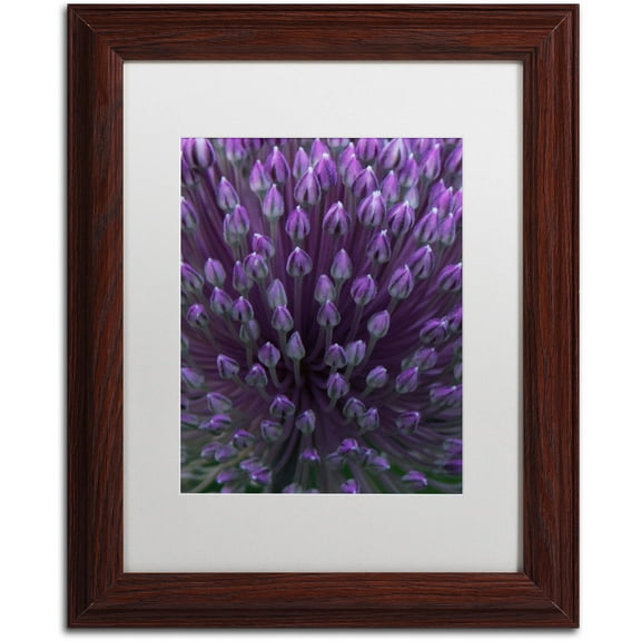 Trademark Fine Art "Alien Flower Pods" Canvas Art by Kurt Shaffer, White Matte, Wood Frame