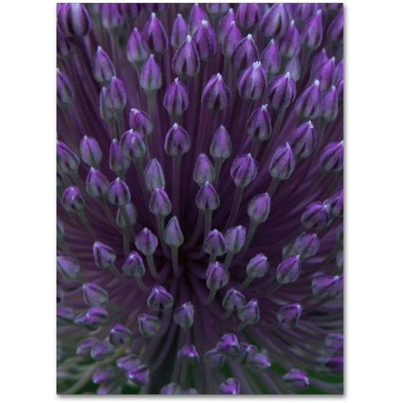 Trademark Fine Art "Alien Flower Pods" Canvas Art by Kurt Shaffer