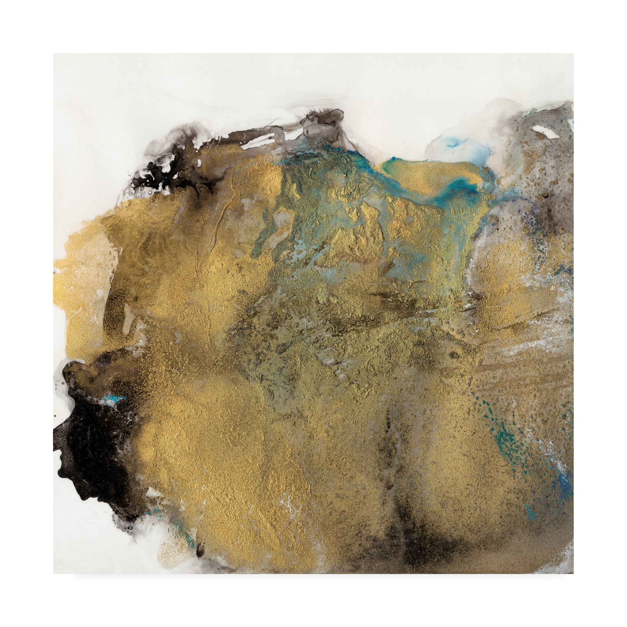 Trademark Fine Art 'Align with Life III' Canvas Art by Lila Bramma