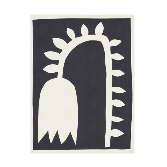 Trademark Fine Art Alisa Galitsyna Black Tulip 2 Canvas Wall Art