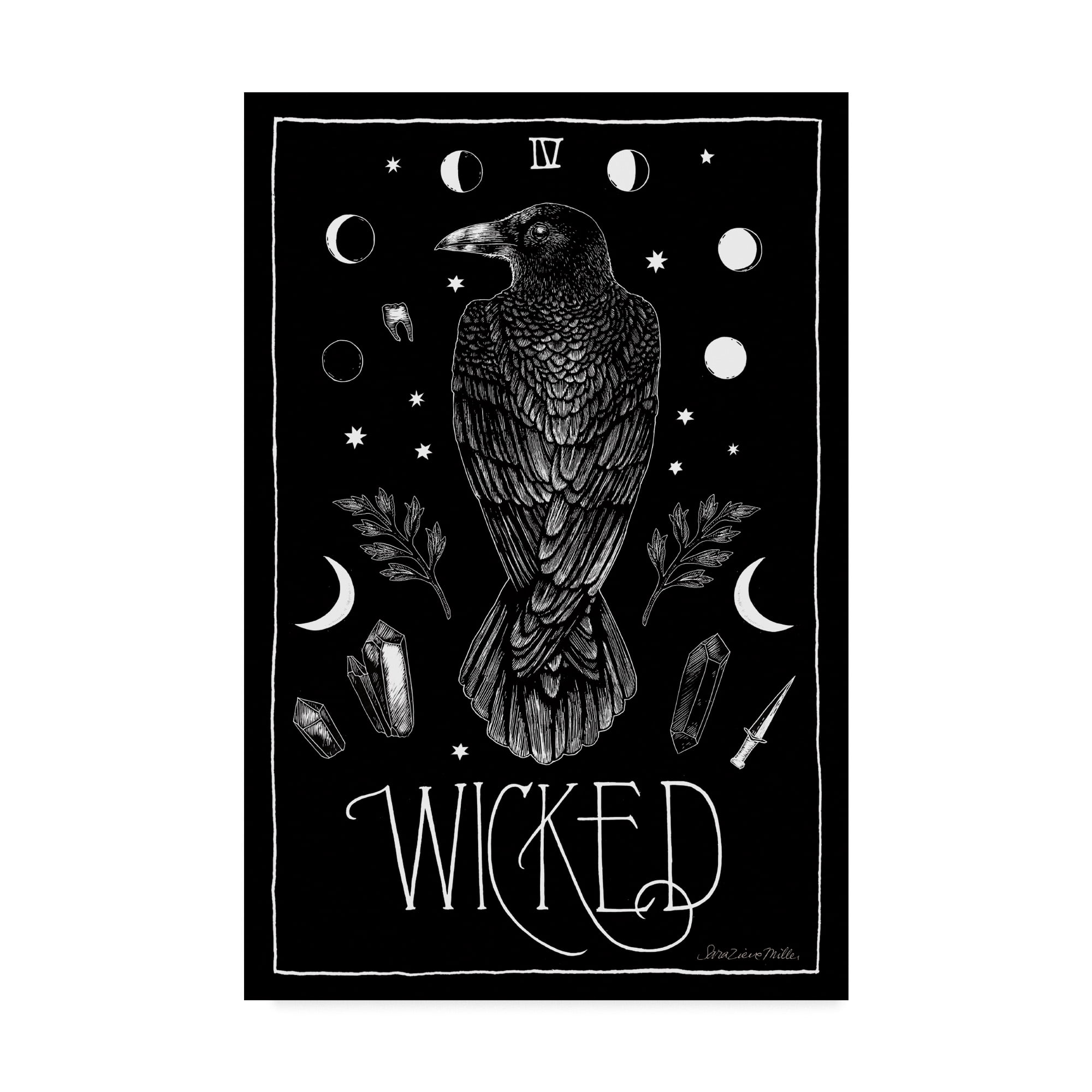Wicked Raven Black and White Framed Canvas Art