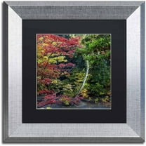 Trademark Fine Art "All the Colors of October in Ohio" Canvas Art by Kurt Shaffer, Black Matte, Silver Frame