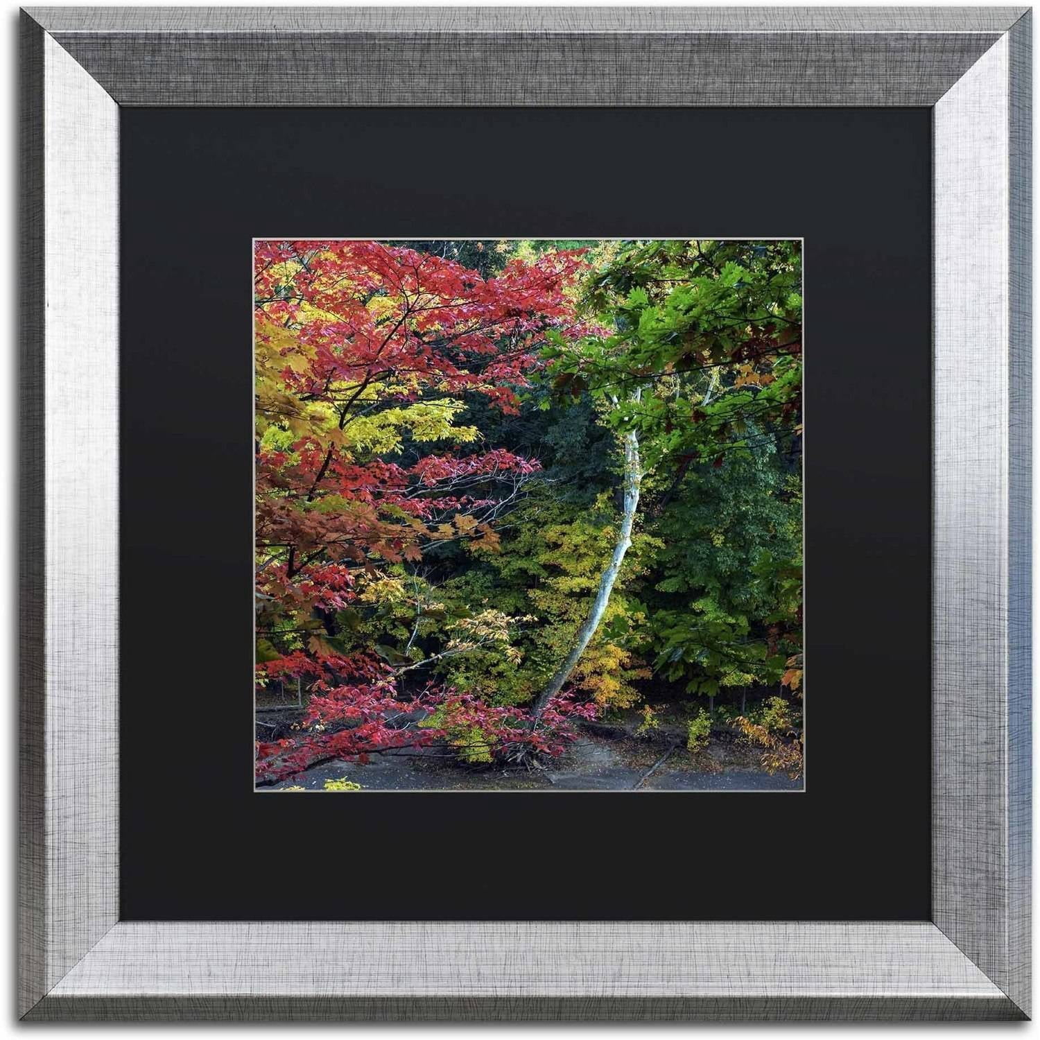 Trademark Fine Art "All the Colors of October in Ohio" Canvas Art by Kurt Shaffer, Black Matte, Silver Frame