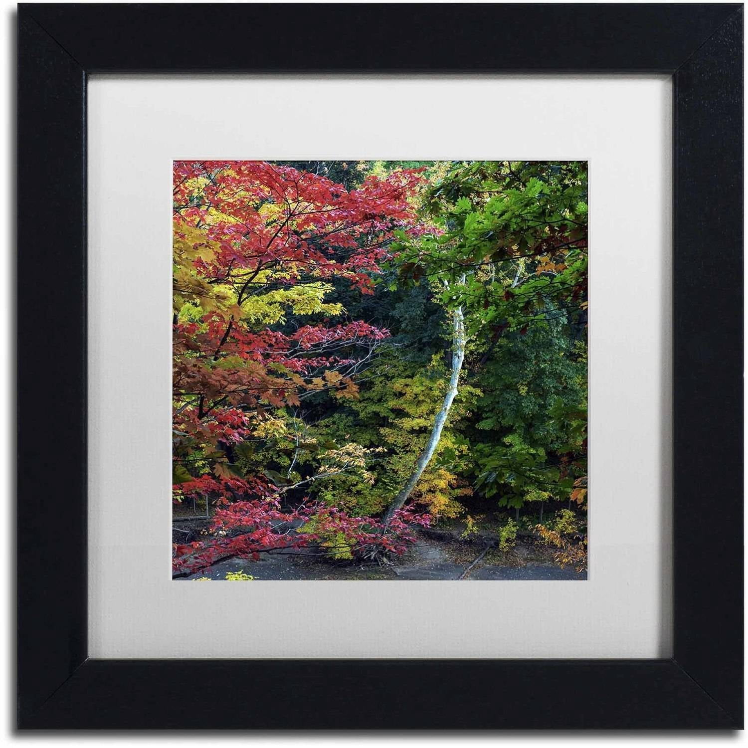 Trademark Fine Art "All the Colors of October in Ohio" Canvas Art by Kurt Shaffer, White Matte, Black Frame