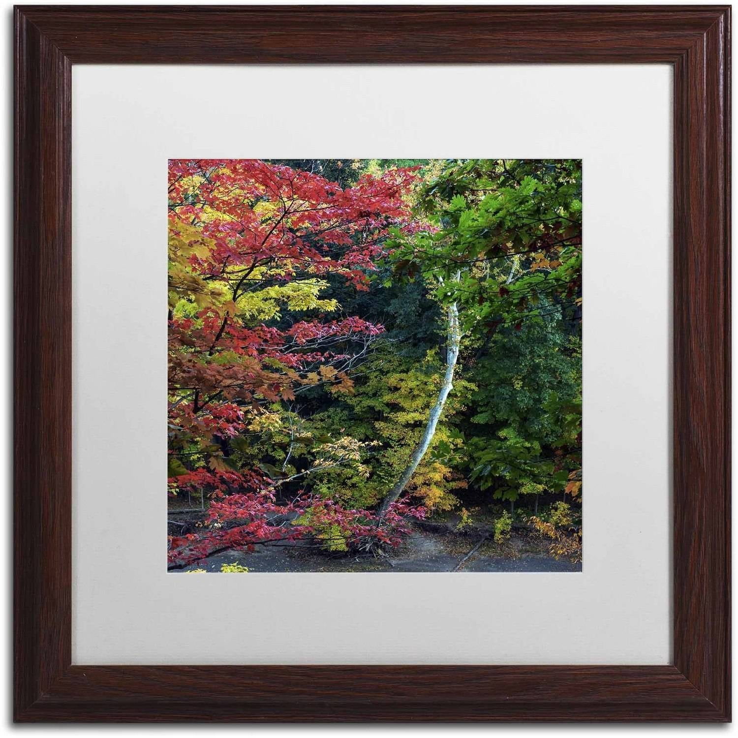 Trademark Fine Art "All the Colors of October in Ohio" Canvas Art by Kurt Shaffer, White Matte, Wood Frame