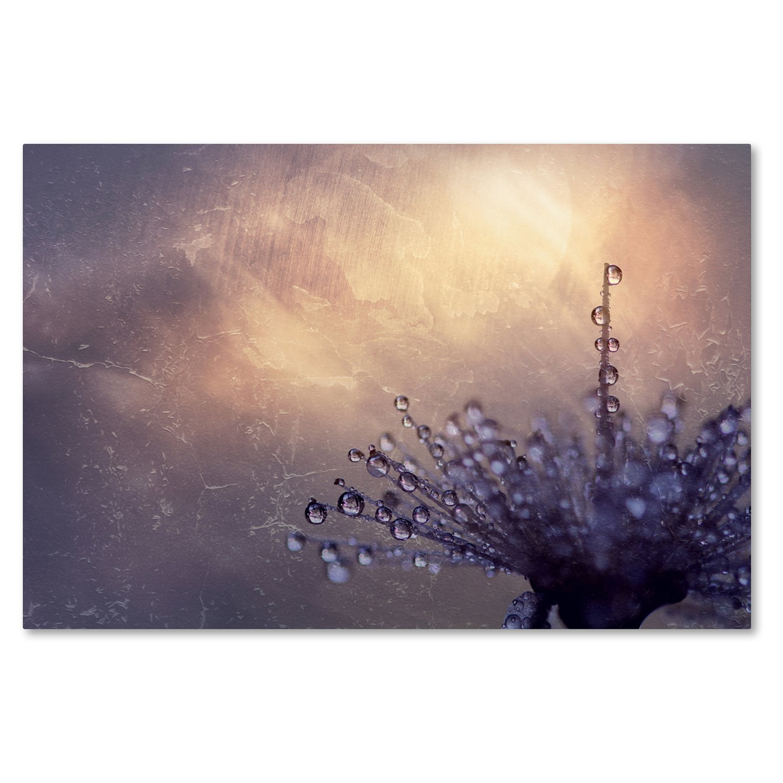 Botanical Dew Drops on Canvas Art Print