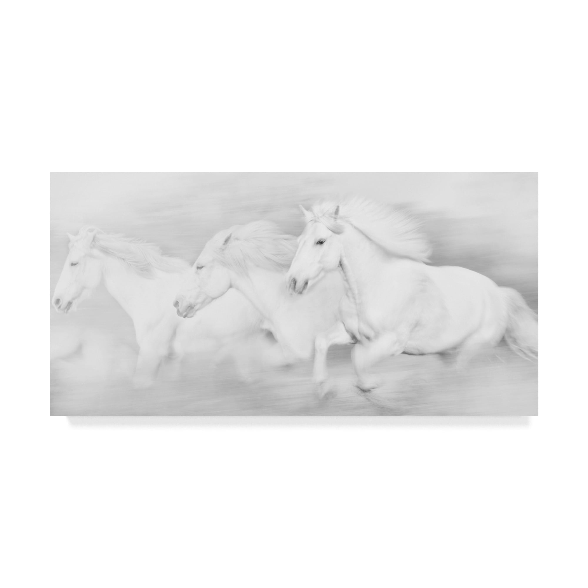 Trademark Fine Art 'All the White Horses' Canvas Art by PHBurchett