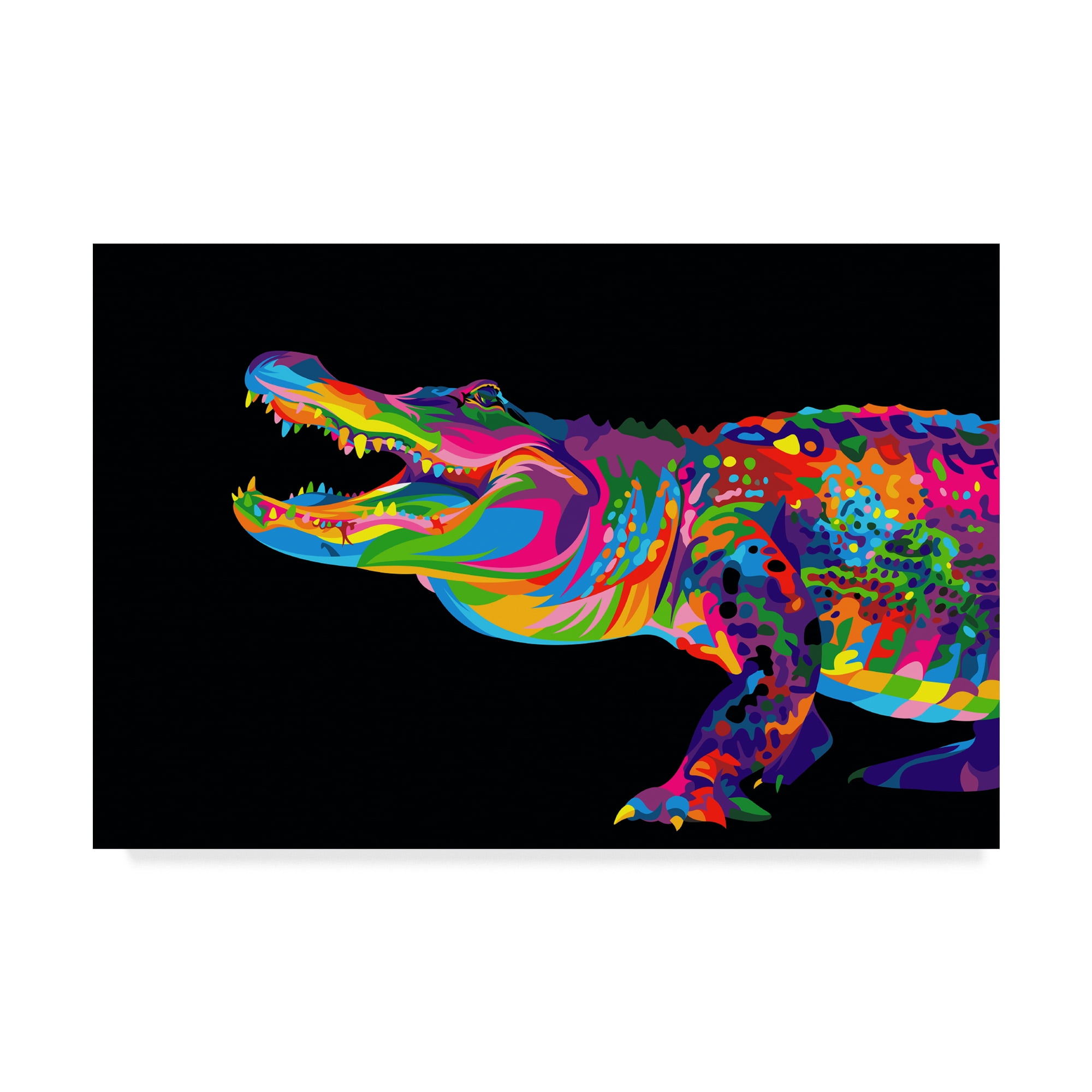 Rainbow alligator best sale