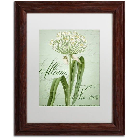 Trademark Fine Art "Allium I" Canvas Art by Color Bakery White Matte, Wood Frame