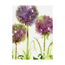 Trademark Fine Art 'Alliums' Canvas Art by Dawn Derma