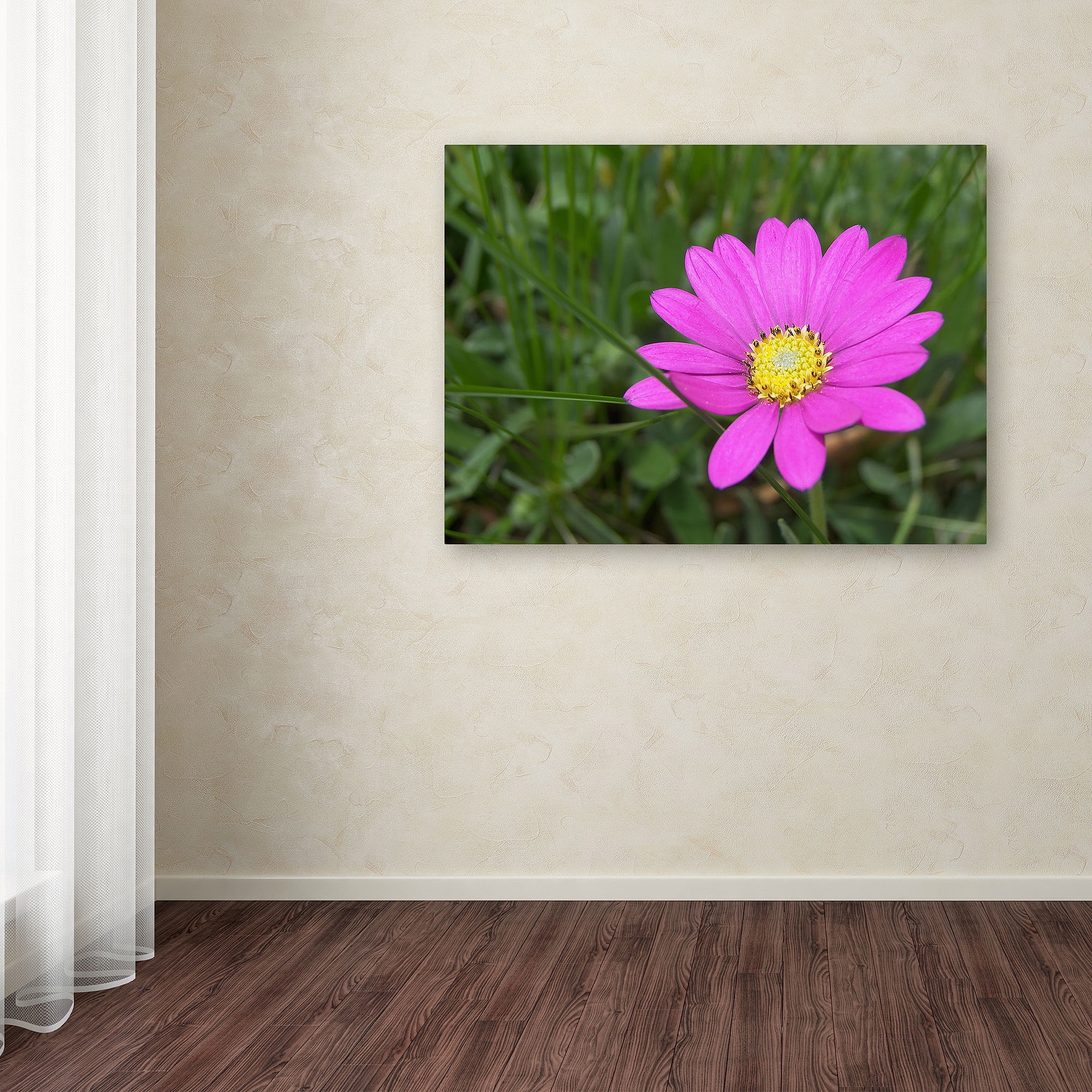 Trademark Fine Art "Alluring Vibrance" Canvas Art by Monica Fleet