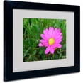 thumbnail image 1 of Trademark Fine Art "Alluring Vibrance" by Monica Fleet, Black Frame, 1 of 3