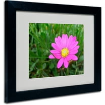 Trademark Fine Art "Alluring Vibrance" by Monica Fleet, Black Frame