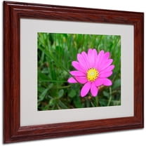 Trademark Fine Art "Alluring Vibrance" by Monica Fleet, Wood Frame