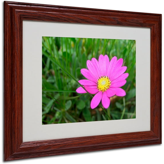 Trademark Fine Art "Alluring Vibrance" by Monica Fleet, Wood Frame